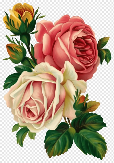 Miễn phí download Bông Hoa hồng vẽ màu nước. Định dạng file PNG. Chủ đề: bông hoa hồng, hoa hồng, hoa lá vẽ, 