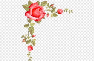 Miễn phí download Cành Hoa Hồng trang trí góc vẽ tay. Định dạng file PNG. Chủ đề: hoa hồng, bông hoa hồng, trang trí góc, 