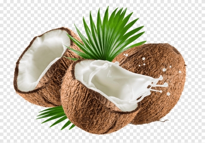 Miễn phí download Hình ảnh quả dừa khô nước cốt dừa. Định dạng file PNG. Chủ đề: thực phẩm thực vật, thực phẩm tự nhiên, trái cây, quả dứa, 