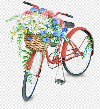 Miễn phí download Hình ảnh xe đạp giỏ hoa cúc vẽ màu nước đẹp. Định dạng file PNG. Chủ đề: xe đạp, màu nước, 