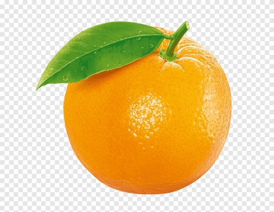 Hình ảnh quả cam vàng tươi ngon - PNG - thuviendohoa.vn