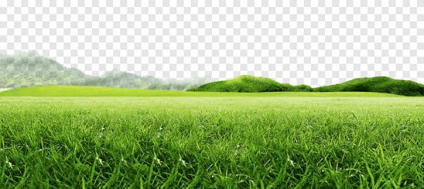hình ảnh : Đồng cỏ, thiên nhiên, Cao nguyên, Bầu trời, màu xanh lá, Địa hình  đồi núi, Cây cỏ, Gắn khung cảnh, Hệ sinh thái, Hoang dã, cánh đồng, đồi núi,