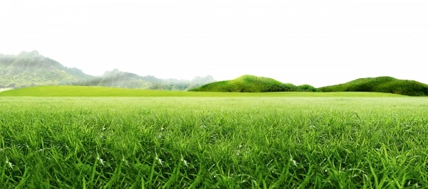 Hình ảnh phong cảnh cánh đồng cỏ và đồi núi - PNG