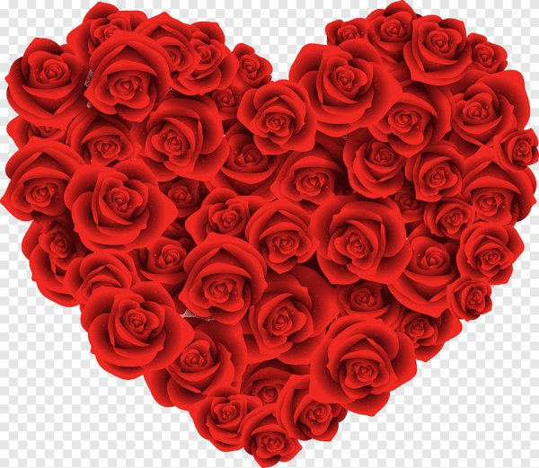 Hãy cùng ngắm nhìn bức ảnh PNG hình trái tim hoa tuyệt đẹp này để cảm nhận sắc đỏ tươi sáng của những cánh hoa hình trái tim, tạo nên một tác phẩm nghệ thuật đầy tình cảm và nghệ thuật.