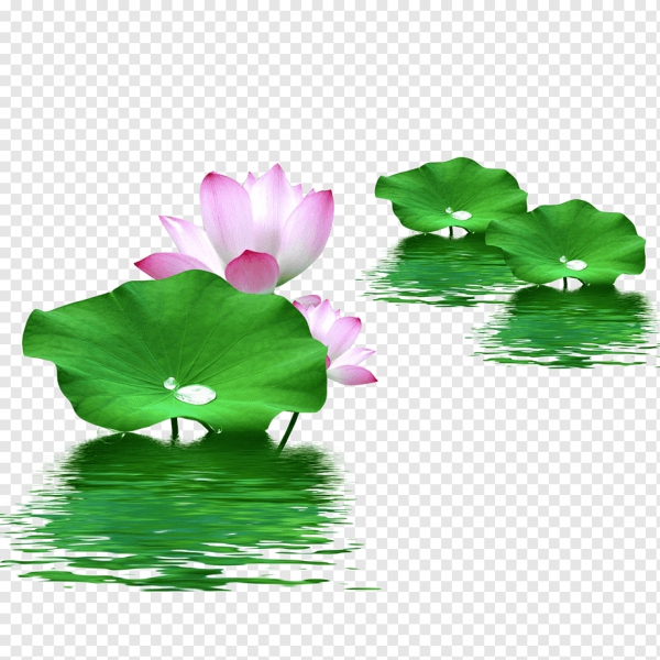 lotus pattern Hình ảnh, các mô hình bông sen,hoa sen,thời cổ đại,trung quốc  phong,cây, PNG Hình ảnh#gra… | Flower drawing, Lotus flower drawing, Flower  illustration