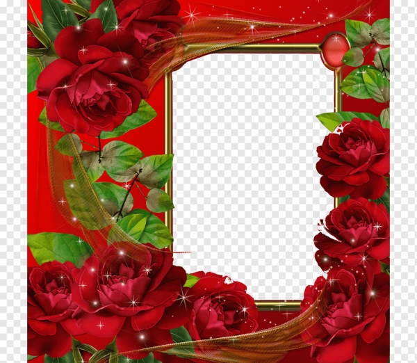Hoa hồng đỏ: Hoa hồng đỏ luôn là biểu tượng của tình yêu và sự lãng mạn. Hãy ngắm nhìn hình ảnh của những bông hoa hồng đỏ tuyệt đẹp và cảm nhận được sự ngọt ngào, tình cảm mà chúng mang lại. Hãy để tâm trí được thư giãn bởi vẻ đẹp của hoa hồng đỏ!