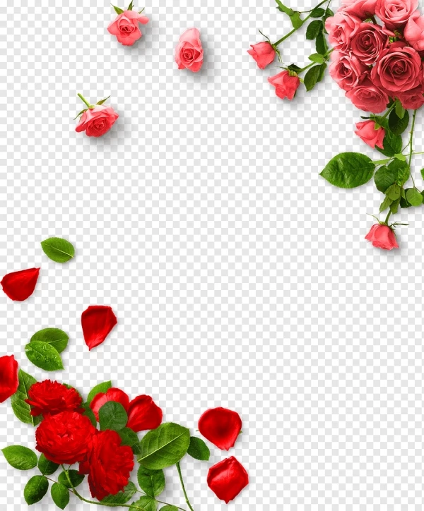 Khám phá với hơn 103 hình nền hoa hồng full hd hay nhất - Tin học Đông Hòa