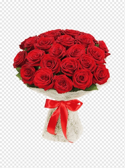 Miễn phí download Bó hoa hồng nhung đẹp. Định dạng file PNG. Chủ đề: hoa hồng, bông hoa hồng, hoa hồng trang trí, bó hoa, bó hoa hồng, 