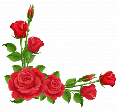 Miễn phí download Cành Bông Hoa Hồng trang trí góc. Định dạng file PNG. Chủ đề: hoa hồng, bông hoa hồng, trang trí góc, 