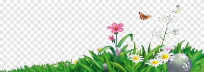 Miễn phí download Cây hoa cỏ dại - PNG. Định dạng file PNG. Chủ đề: cây cỏ, hoa dại, cỏ cây, 