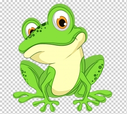 Miễn phí download Con ếch xanh Hình ảnh PNG. Định dạng file PNG. Chủ đề: hình ảnh con ếch, hình ảnh động vật