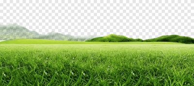 Miễn phí download Hình ảnh cánh đồng cỏ xanh ngát. Định dạng file PNG. Chủ đề: đồng cỏ, cây cỏ, 