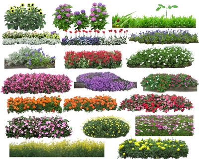 Miễn phí download Hình ảnh cây bụi cây hoa - PNG. Định dạng file PNG. Chủ đề: hình ảnh cây bụi, hình ảnh cây xanh, hình ảnh cây hoa, 