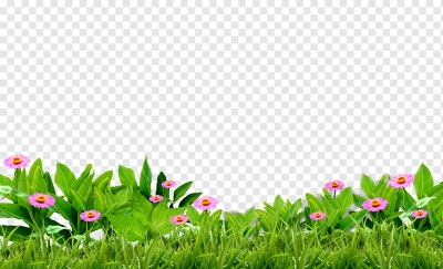 Miễn phí download Hình ảnh cây cỏ và hoa trồng vườn. Định dạng file PNG. Chủ đề: cây trồng, cây lá, cây cỏ, 