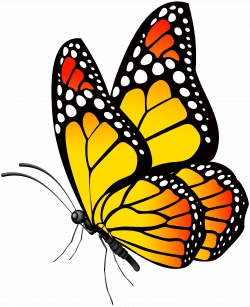 Miễn phí download Hình ảnh con bướm vàng. Định dạng file PNG. Chủ đề: hình ảnh con bướm, con bướm, 