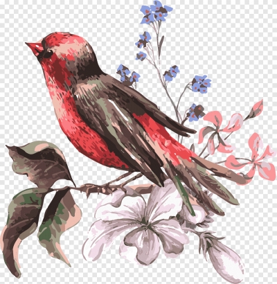 Miễn phí download Hình ảnh con chim ruồi đang bay vẽ tay. Định dạng file PNG. Chủ đề: loài chim, chim vẽ tay, chim trang trí, chim tranh vẽ
