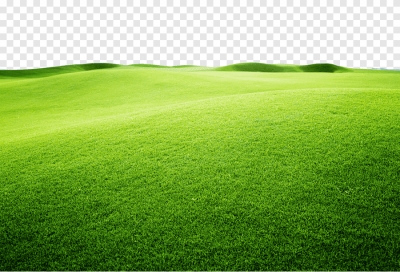 Miễn phí download Hình ảnh đồi cỏ xanh, đồng cỏ xanh ngát - PNG. Định dạng file PNG. Chủ đề: hình ảnh cây cỏ, hình ảnh đồng cỏ, hình ảnh cánh đồng cỏ, 