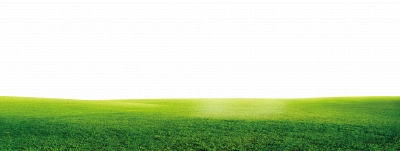 Miễn phí download Hình ảnh đồng cỏ xanh ngát - PNG. Định dạng file PNG. Chủ đề: hình ảnh cánh đồng cỏ, hình ảnh đồng cỏ, hình ảnh cây cỏ, 