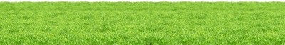 Miễn phí download Hình ảnh thảm cỏ xanh, đồng cỏ - PNG. Định dạng file PNG. Chủ đề: hình ảnh cây cỏ, hình ảnh đồng cỏ, hình ảnh cánh đồng cỏ, 
