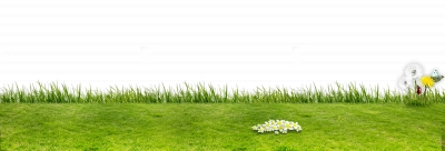 Miễn phí download Hình ảnh thảm cỏ xanh. Định dạng file PNG. Chủ đề: hình ảnh cánh đồng cỏ, hình ảnh đồng cỏ, hình ảnh cây cỏ, 