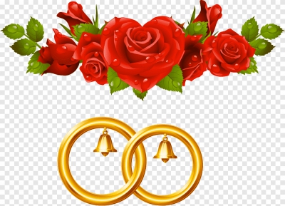 Download Hoa hồng và nhẫn vàng - PNG. Định dạng file PNG. Chủ đề: hoa hồng, bông hoa hồng, nhẫn cưới, 