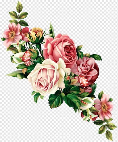 Hoa hồng vẽ màu nước - PNG