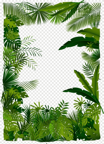 Khung viền trang trí lá cây - PNG
