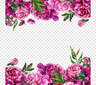 Miễn phí download Thiệp cưới hoa, Thiệp hoa mẫu đơn, Hoa viền, viền hoa mẫu đơn màu hồng. Định dạng file PNG. Chủ đề: hoa mẫu đơn, khung viền hoa, hoa thiết kế thiệp, 