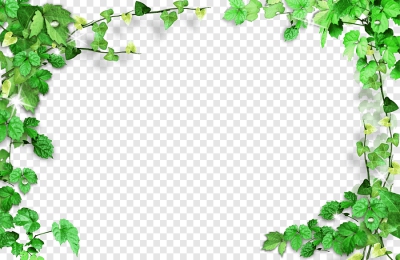 Miễn phí download Viền trang trí cây lá dây leo. Định dạng file PNG. Chủ đề: cây xanh, cây cảnh, cây lá, cây dây leo, 
