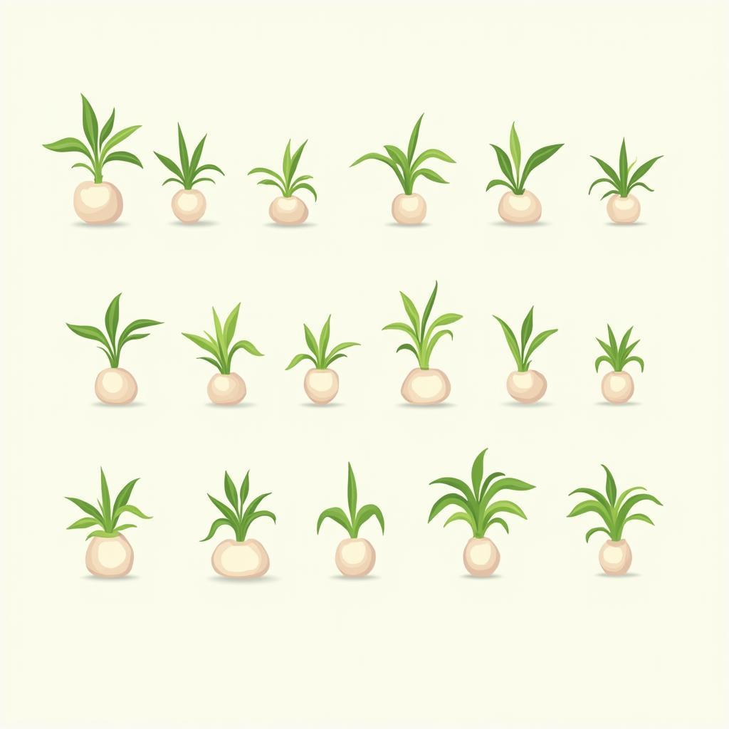 Bộ sưu tập búp măng non vector và PNG miễn phí, chất lượng cao cho thiết kế đồ họa